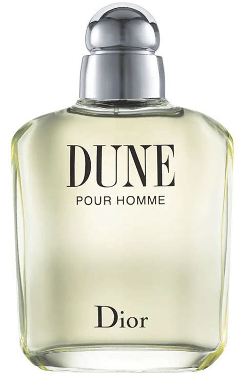 dior dune pour homme opinioni|dune aftershave for men.